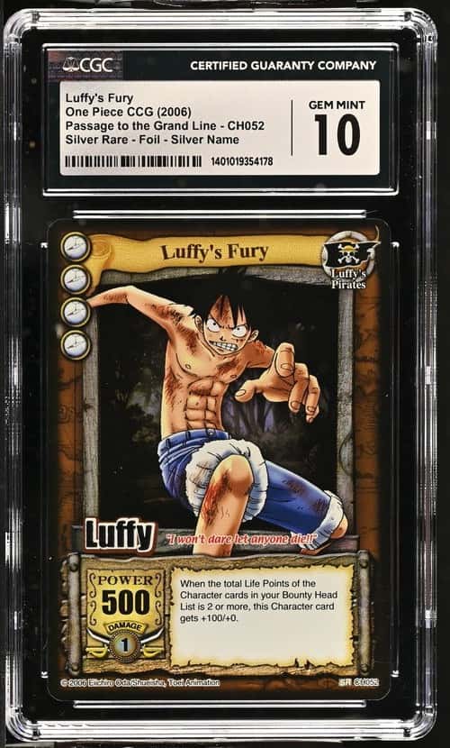 Luffy's Fury