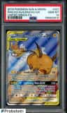 Raichu & Alolan Raichu Gx
