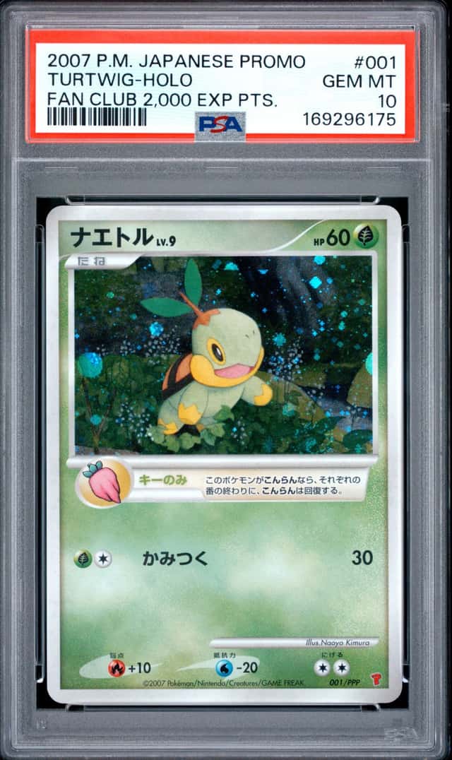 Turtwig