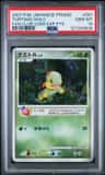 Turtwig