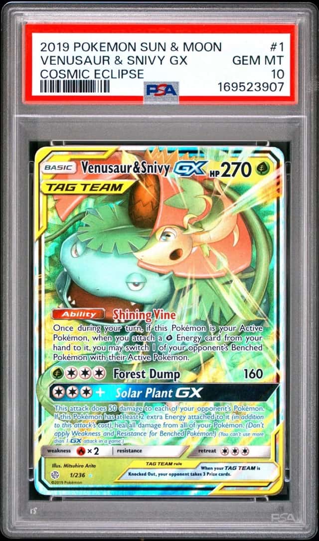 Venusaur & Snivy GX
