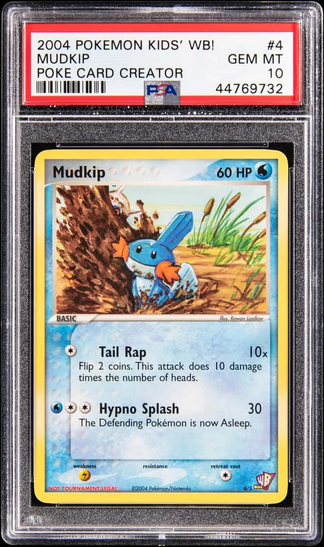 Mudkip