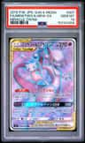 Mewtwo & Mew Gx