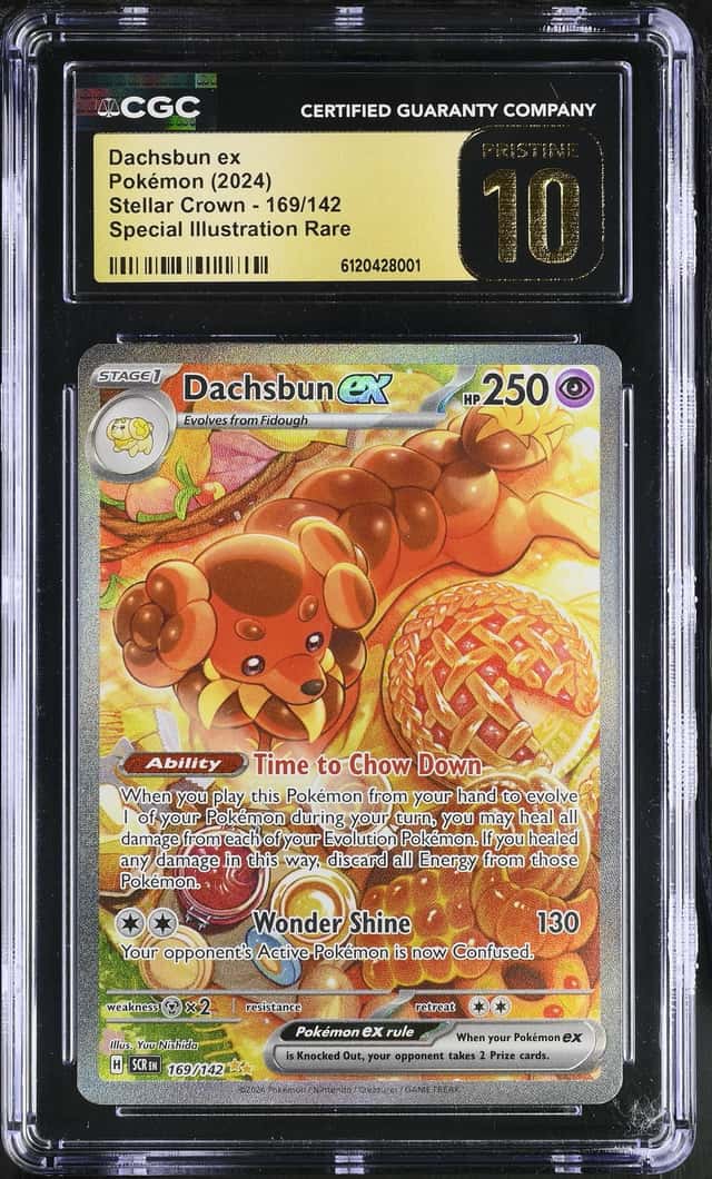 DACHSBUN ex