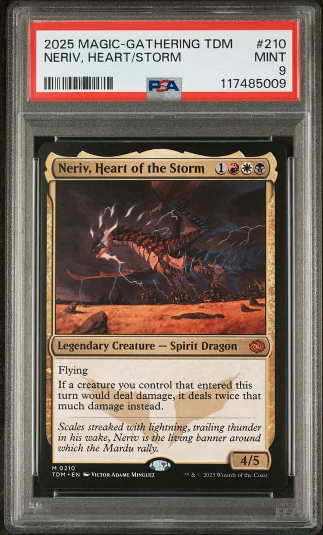 Neriv, Heart/Storm
