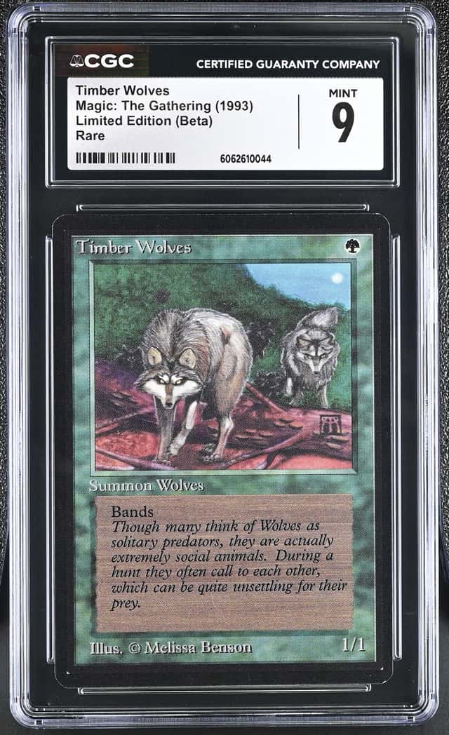 Timber Wolves