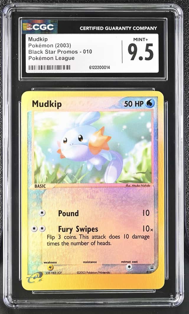 Mudkip