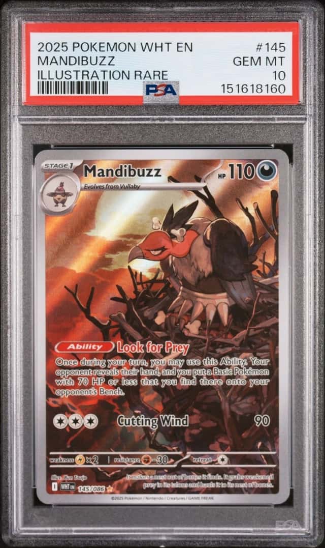 Mandibuzz