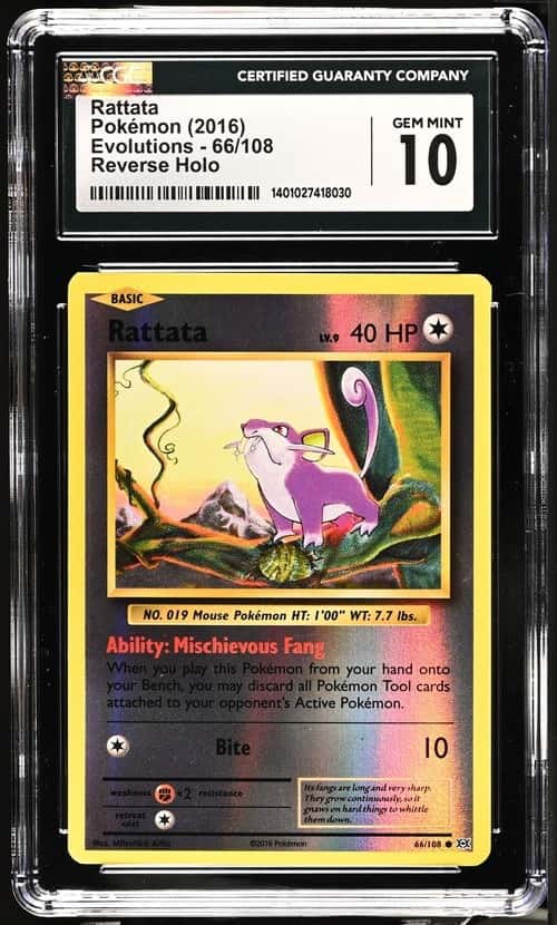 Rattata
