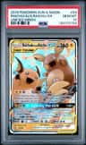 Raichu & Alolan Raichu Gx