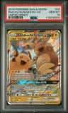 Raichu & Alolan Raichu Gx