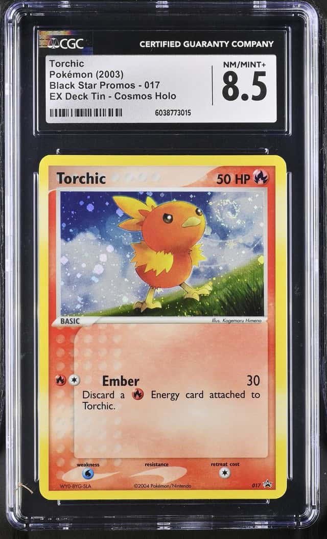 Torchic