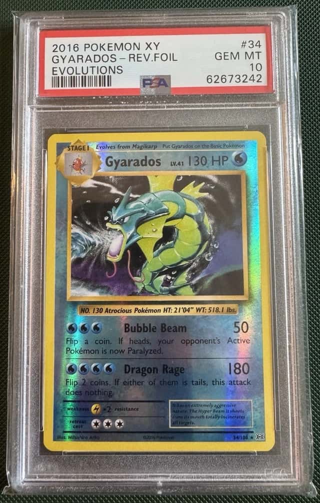Gyarados