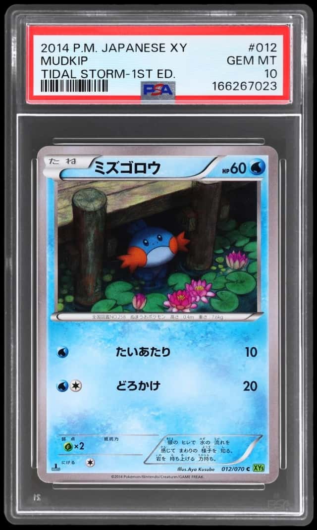 Mudkip