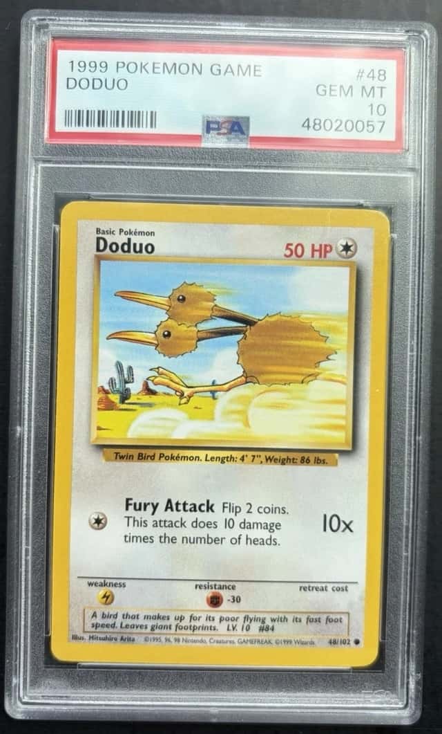 Doduo