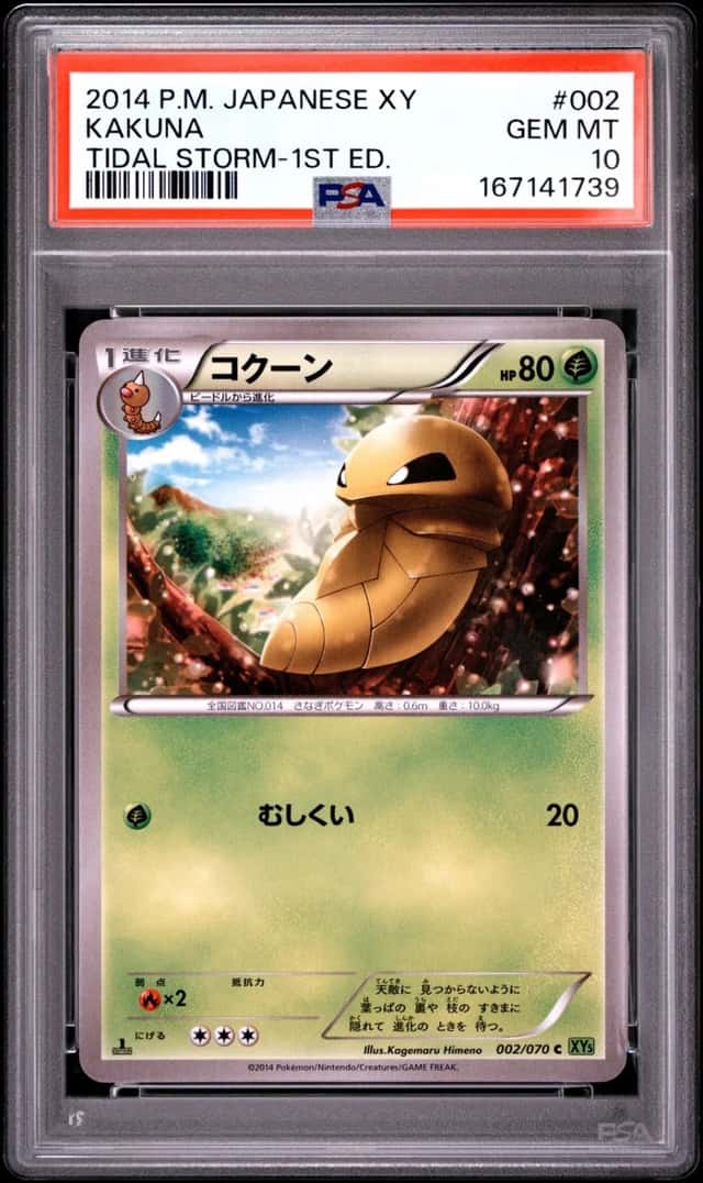 Kakuna