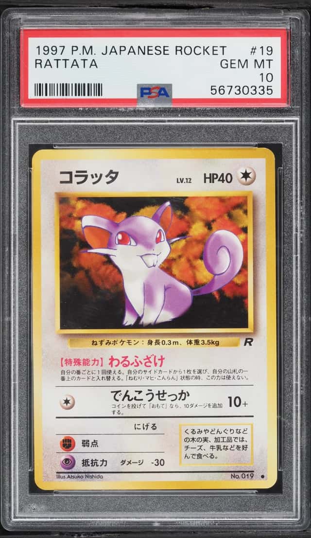 Rattata