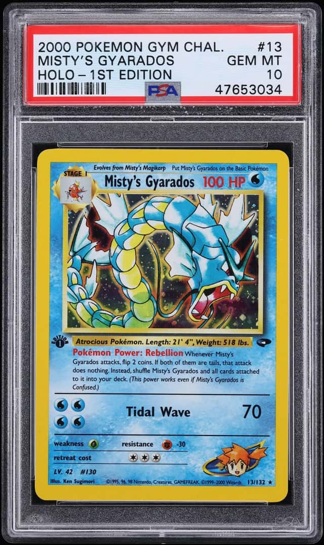 Misty's Gyarados