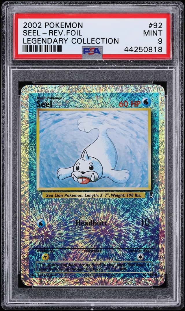 Seel