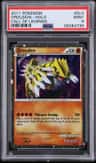 Groudon