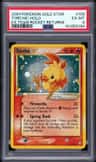 Torchic