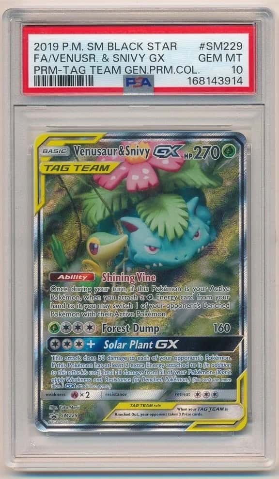 Venusaur & Snivy GX