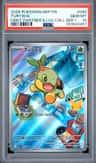 Turtwig