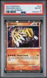 Groudon