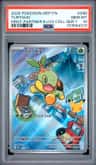 Turtwig