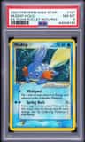 Mudkip