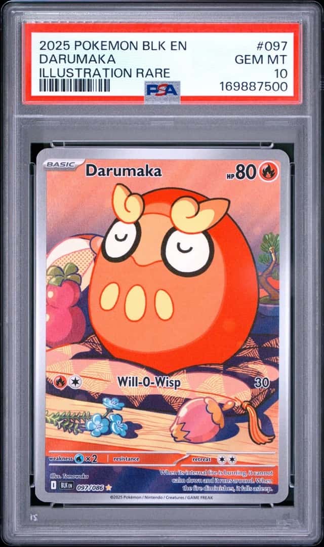 Darumaka