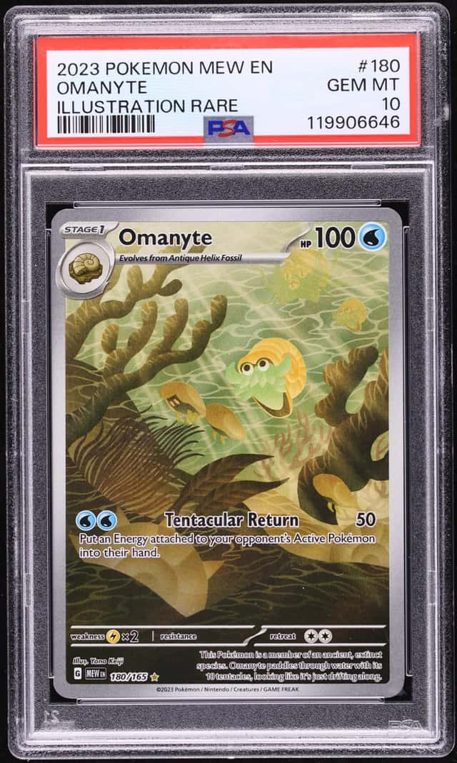 Omanyte