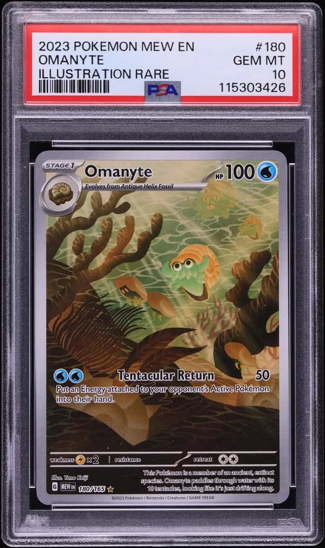 Omanyte