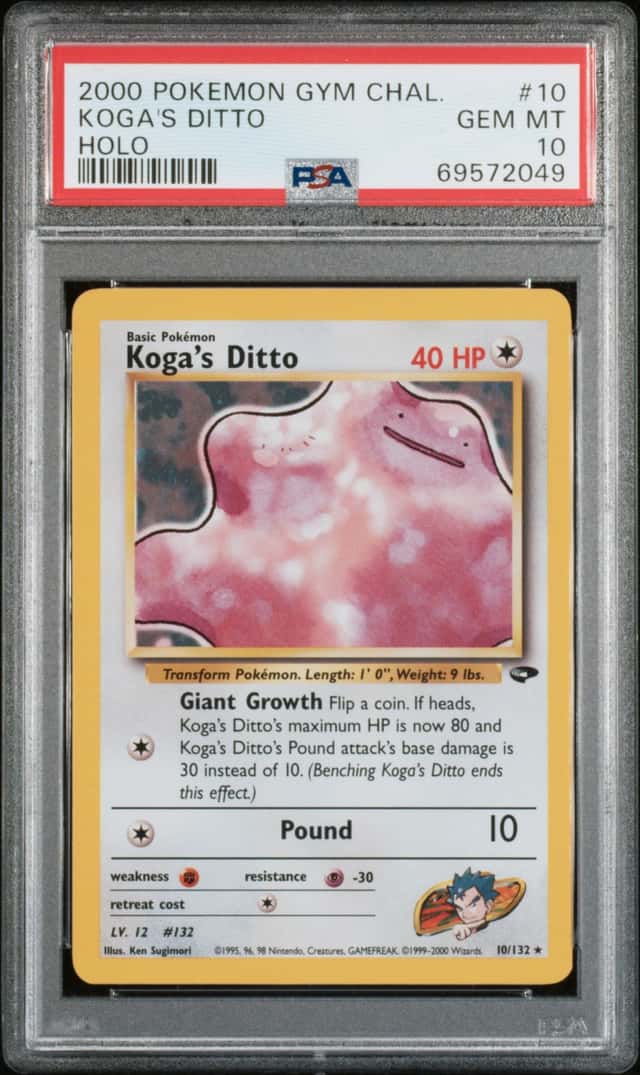 Koga's Ditto