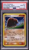 Piloswine