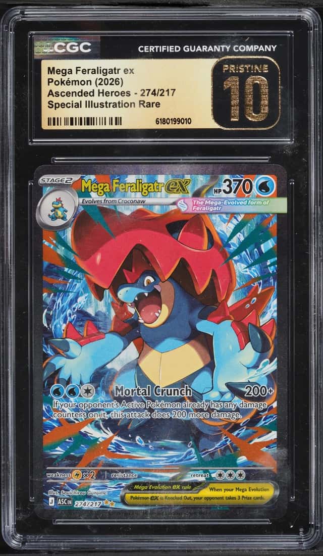 MEGA FERALIGATR ex
