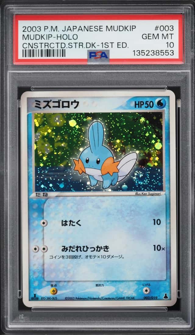 Mudkip