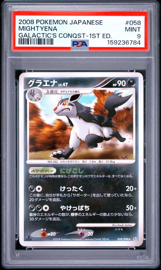 Mightyena