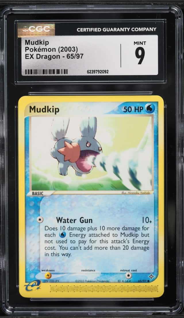 Mudkip