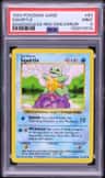 Squirtle