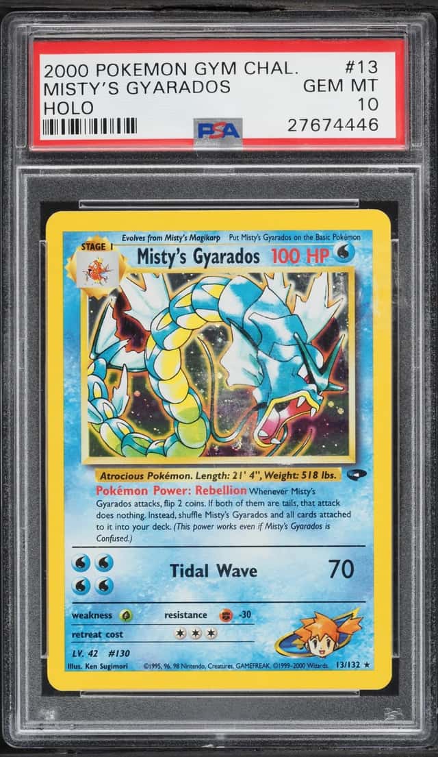 Misty's Gyarados