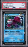 Kyogre