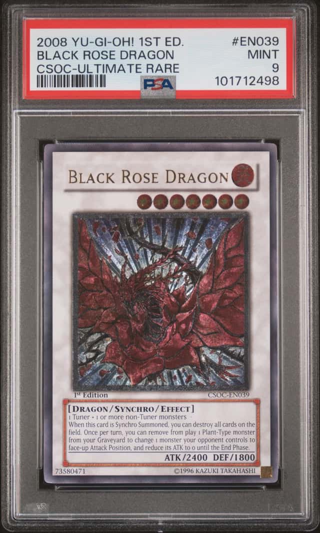 Black Rose Dragon