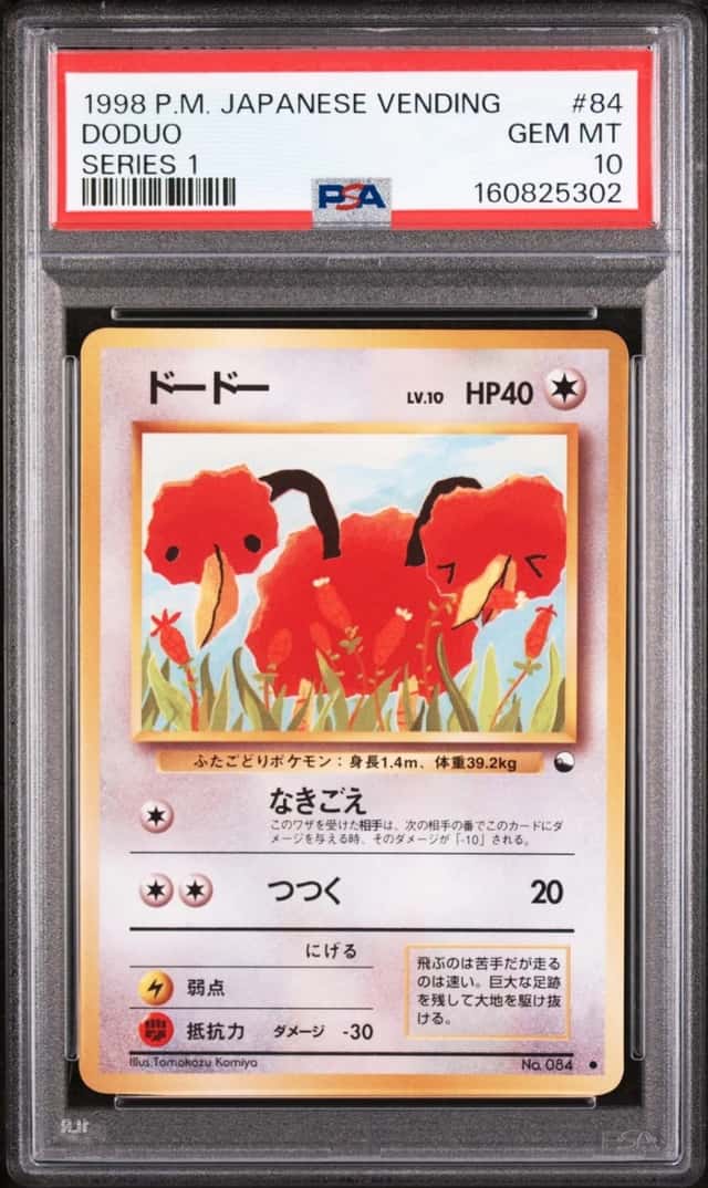 Doduo