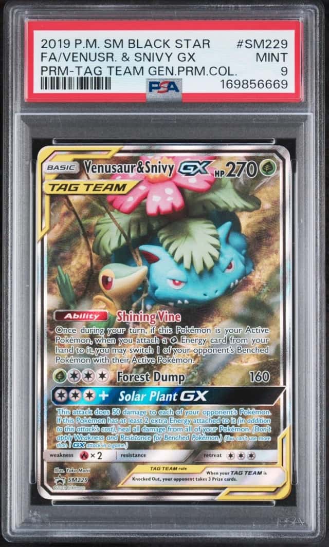 Venusaur & Snivy GX