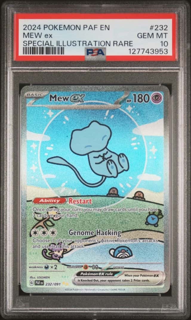 MEW ex