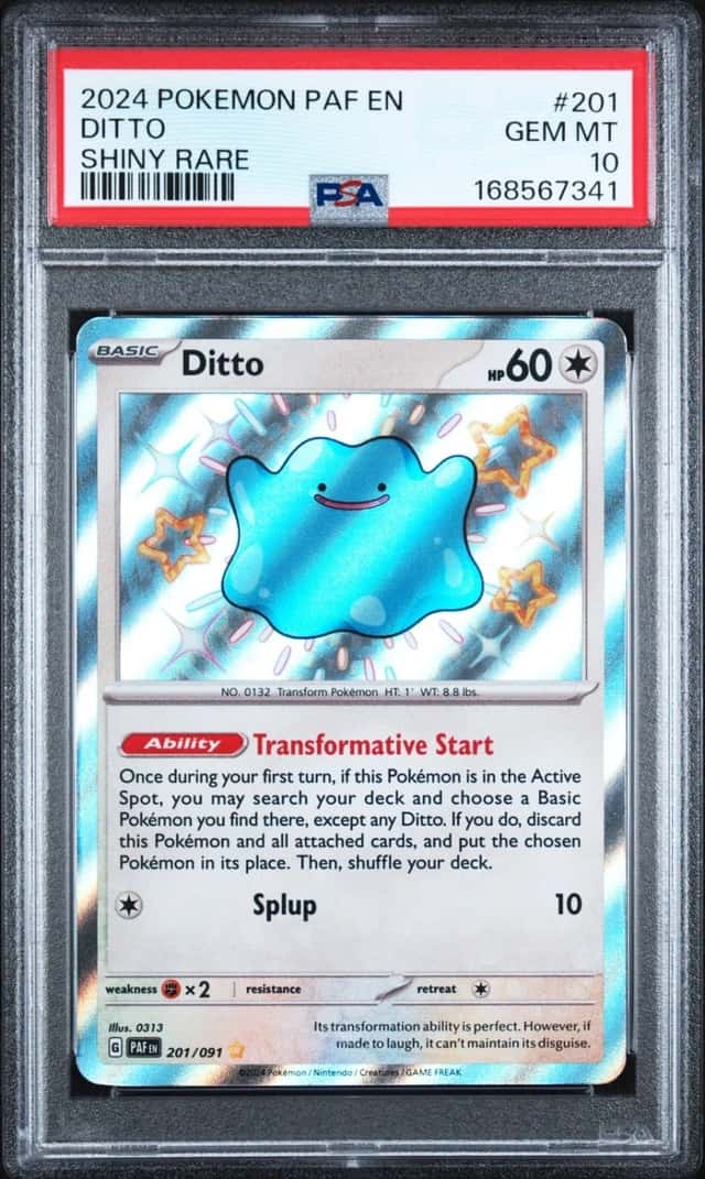 Ditto