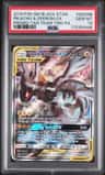 Pikachu & Zekrom Gx
