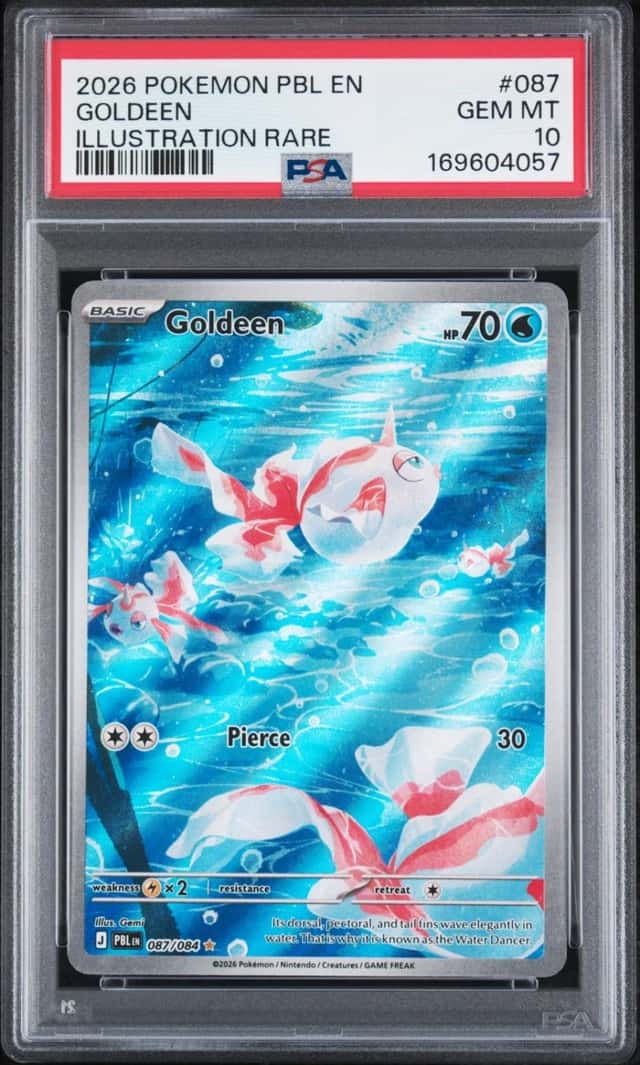 Goldeen