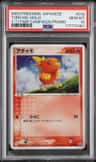 Torchic
